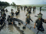 SVietnamese Soldiers Lure Viet Cong Guerrillas from Nearby Flooded Paddies During Vietnam War