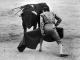 Matador Julian Marin Facing Bull in Ring During a Bullfight Celebrating the Fiesta de San Ferman