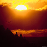 Silhouetted Cormorants and Sea Gulls Roosting on Seal Rock in the Monterey Peninsula