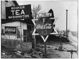 Cruel Display of Racist Condescension in the Land of Segregation