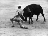 Matador Julian Marin and Bull in the Ring for a Bullfight During the Fiesta de San Ferman