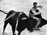 Matador Julian Marin and Bull in the Ring During a Bullfight Celebrating the Fiesta de San Ferman