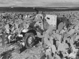 Machine Gun Equipped Half Track Camouflaged by Cactus Pads During WWII for Control of North Africa