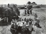 Farmers Having Lunch Brought and Served by Wives During Harvest of Spring Wheat in Wheat Farm