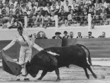 Matador Luis Miguel Dominguin During Bullfight