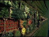 Farmer Hugh Tuttle Tractoring Fresh Produce from 50 Acre Farm Through Field to His Roadside Store