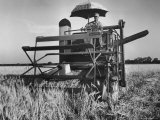 Farmer Emerson Hurich Harvesting Barley on His Farm with New Self Propelled Combine
