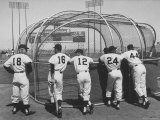 Giants Baseball Players with Backs to Camera Waiting for Their Turn in Batting Cage