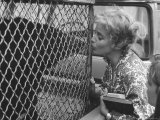 Maria Schell Kissing "Big Don" Himalayan Sun Bear Co Actor in Motion Picture Brothers Karamazov