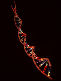 Representation of Segment of DNA Molecule Whose Order Spells Out Exact Set of Genetic Instructions