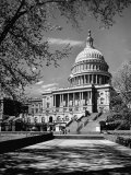 Majestic View of US Capitol Building Framed by Budding Branches of Cherry Trees on a Beautiful Day