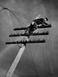 NY Telephone Co Lineman Wallace Burdick Repairs Telephone Lines Between Valhalla and Brewster