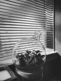 Planter in Modern Glass Tower window Designed by Frank Lloyd Wright for S C Johnson and Company