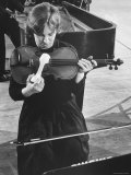 Inti Marshall Playing Viola with Ham Bone  at Buffalo Arts Festival  Albright Knox Gallery