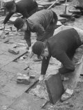 Workers Paving Sidewalk in Front of Stalin Statue Are Making Highest Salaries at 24 Cents Per Hour