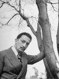 Surrealist Artist Salvador Dali