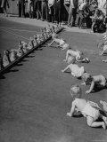 Babies Crawling Toward a Mobile Row of Stuffed Rabbits During the 8th Annual Diaper Service Derby