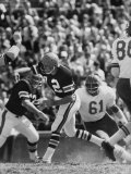 Quarterback with Cincinnati Bengals Greg Cook  During AFL Football Game