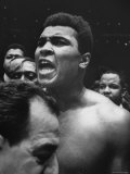 World Heavyweight Champion  Cassius M Clay  After Winning Bout Against Cleveland Williams