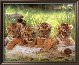 [Image: tippy-hedren-four-cubs.jpg]