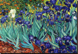 Irises  Saint-Remy  c1889