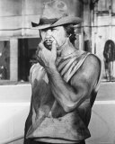 Charles Bronson