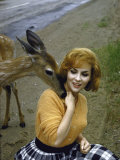Gina Lollobrigida Feeding and Petting a Fawn