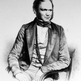 British Naturalist Advanced Theory of Evolution Charles Darwin Portrayed in Lithograph by Maguire