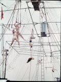 Maze of Ringling Bros New Outdoor Rigging Supporting Trapezes and Ropes