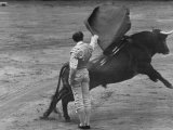 Bull Fighter Manolete Raising His Cape as Bull Charges Past Him in Bull Ring During Bull Fight