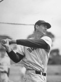 Baseball: Boston Red Sox Ted Williams Alone During Batting Practice