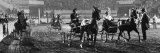 National Horse Show  Madison Square Garden