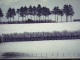 Snowy Landscape Frames Single American Tank Moving Along Distant Road During Battle of the Bulge