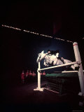 Woman Rider Taking Horse over Jump during National Horse Show