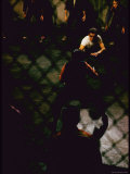 Knife Fight Scene from West Side Story