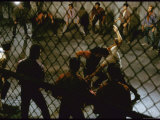 Knife Fight Scene from West Side Story