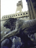 Replica of the David under Belly of Roman Lion in Piazza Della Signoria  Florence