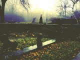 View of Sculpture Garden on Estate of Joseph Hirshhorn in Greenwich  Connecticut
