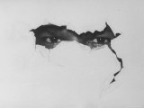 African American Man's Eyes Peering Through Torn Paper Symbolizing Hard Core Black Extremists