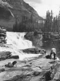Scenery Along Columbia Icefields Highway in Canadian Rockies between Banff and Jasper
