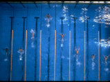 US Athlete Mark Spitz Leads in the 200 Meter Butterfly at the Summer Olympics