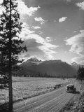 Scenery along Columbia Icefields Highway in Canadian Rockies between Banff and Jasper