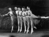 Song of the Forest Ballet Being Performed at Shevchenko Ballet Theatre