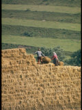 Czechoslovakian Peasants Working in the Field