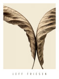 Turning Leaves II