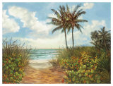 Beach Walkway