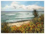 Beach Bird