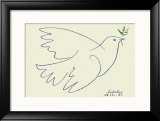 Blue Dove