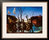 Swans Reflecting Elephants  c1937