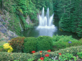 Butchart Gardens  Saanich  Vancouver Island  British Columbia